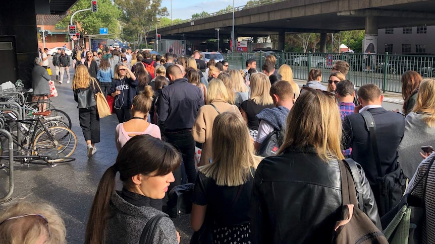 Bondi Junction queues