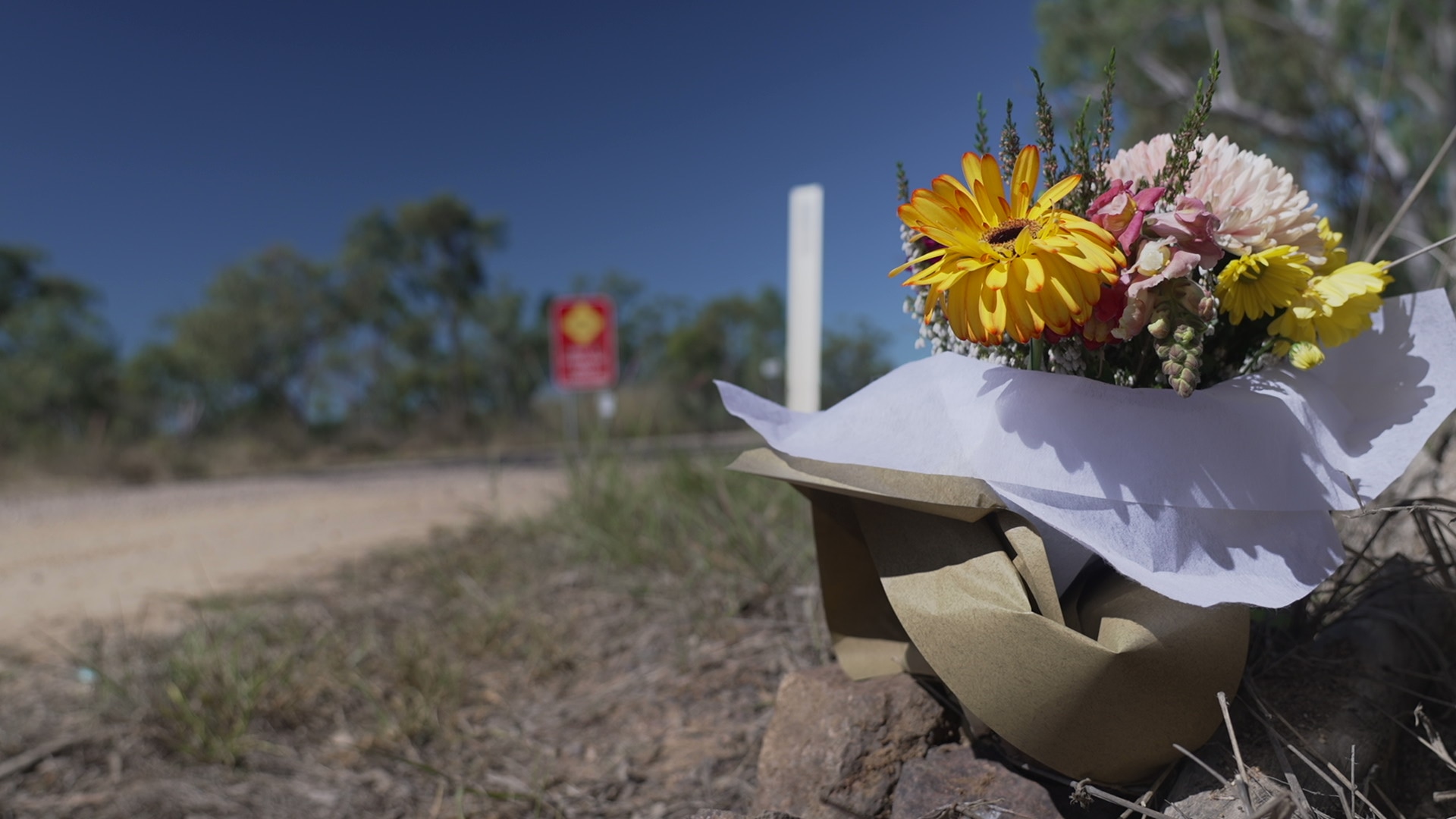 A bunch of flowers sits beside a country road.