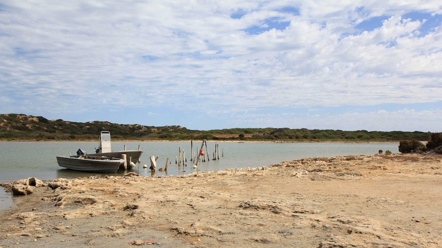 Two boats tied up on a river next to the shore