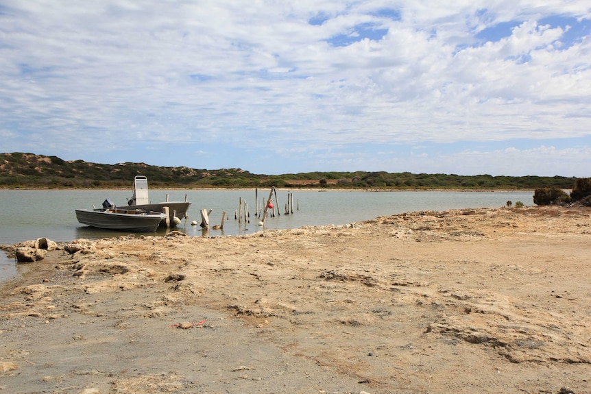 Two boats tied up on a river next to the shore