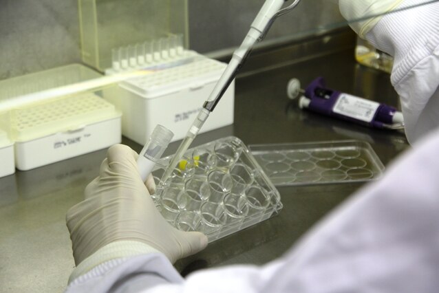 Researcher at work in a lab