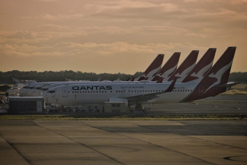 Qantas planes at Brisbane Domestic Terminal.