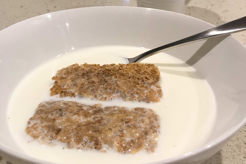 Two Weet-Bix bricks sit in a bowl of milk.