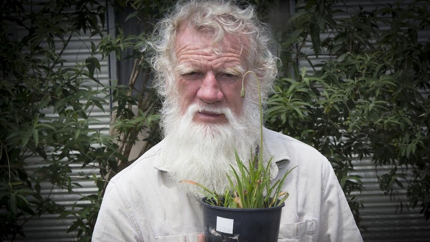 Bruce Pascoe holds plant