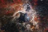 A spectacular picture of space shows a cluster of stars surrounded by giant swirling clouds of gas and dust.