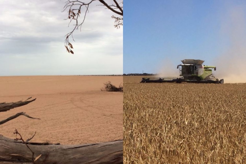 Bare Pinery land after the SA bushfires compared with a current photo of land filled with crops