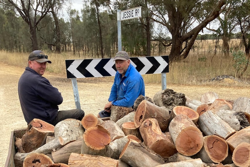 Two men wearing shirts and caps lean against a large trailer of wood next to a dirt road.