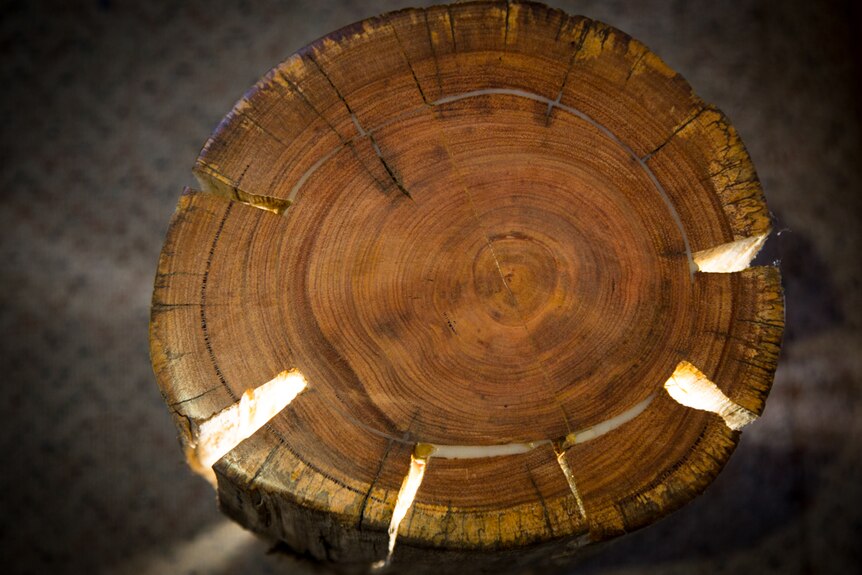 Local resources such as Tasmanian woods are used to create the furniture made by Duncan Meerding.