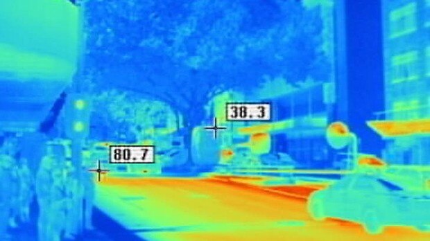 Thermal image of a Melbourne tree