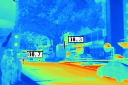 Thermal image of a Melbourne tree