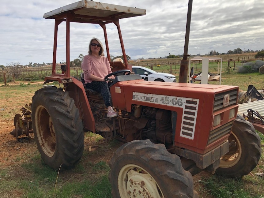 A woman sitting on a red tractor