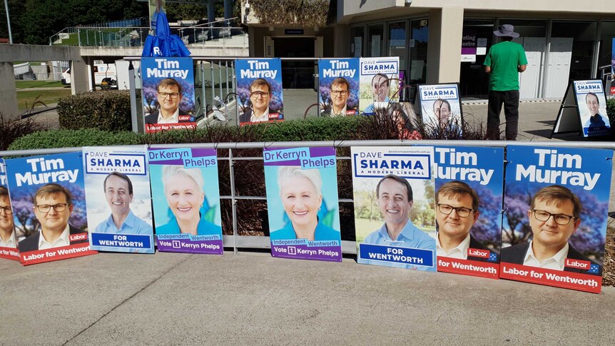 Election posters in the seat of Wentworth