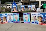Election posters in the seat of Wentworth