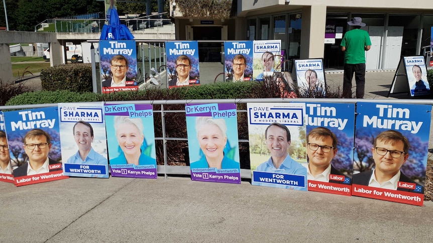 Election posters in the seat of Wentworth