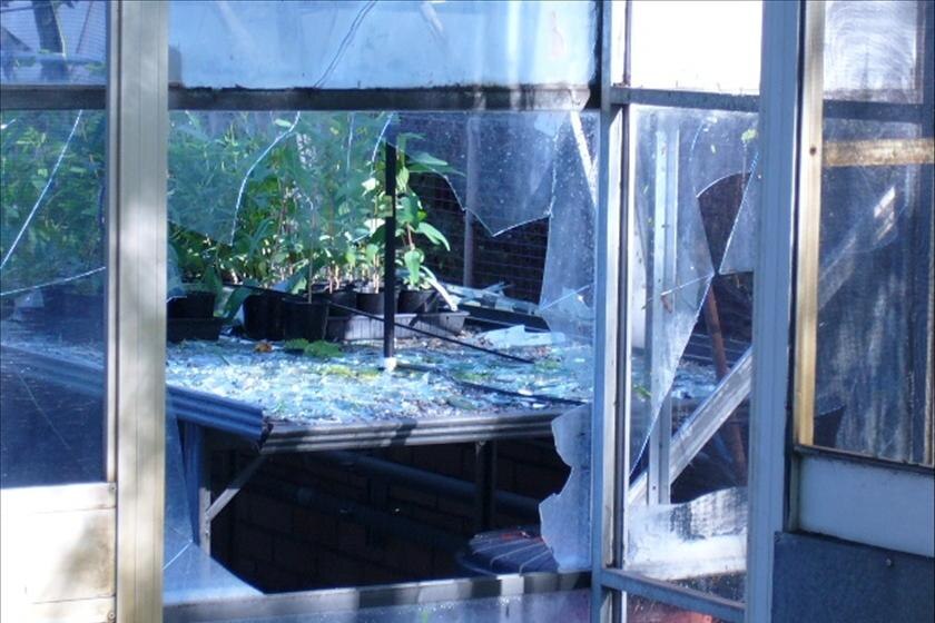 Hail destroys greenhouse at UWA