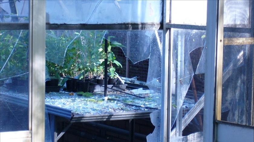 Hail destroys greenhouse at UWA