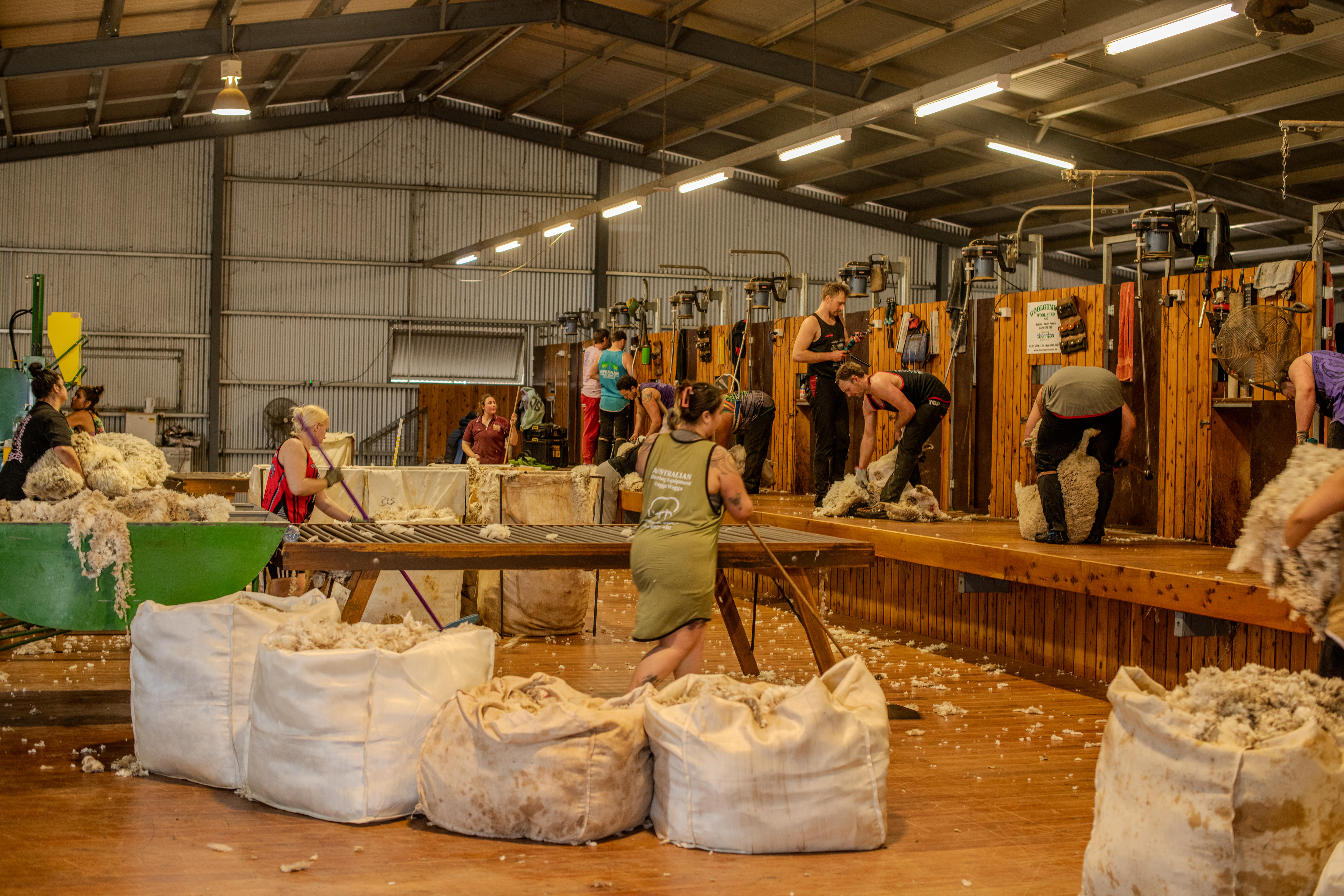 Dos mujeres barren el suelo del cobertizo de esquila.
