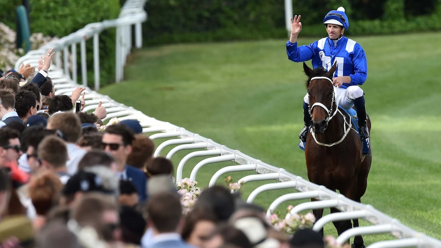 Hugh Bowman salutes the crowd after Winx wins the Cox Plate