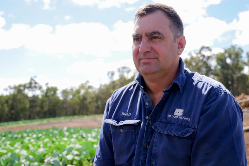 A man looking off camera with broccoli in the background