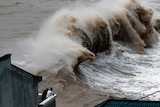 Powerful Typhoon Chan-hom nears China coast