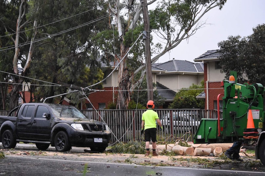 Wide shot of damage at Wyndham Vale from storm