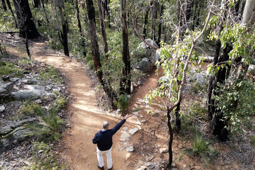 Two sets of of joining trails in a forest with a man pointing down one set. 
