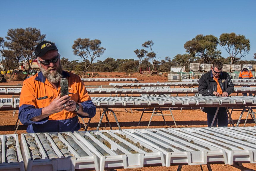 Two men look over trays of rocks on tables in an open paddock with red soil.
