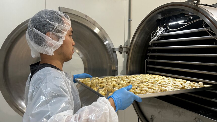 A man in a hair net and protective suit loading a tray of chopped bananas