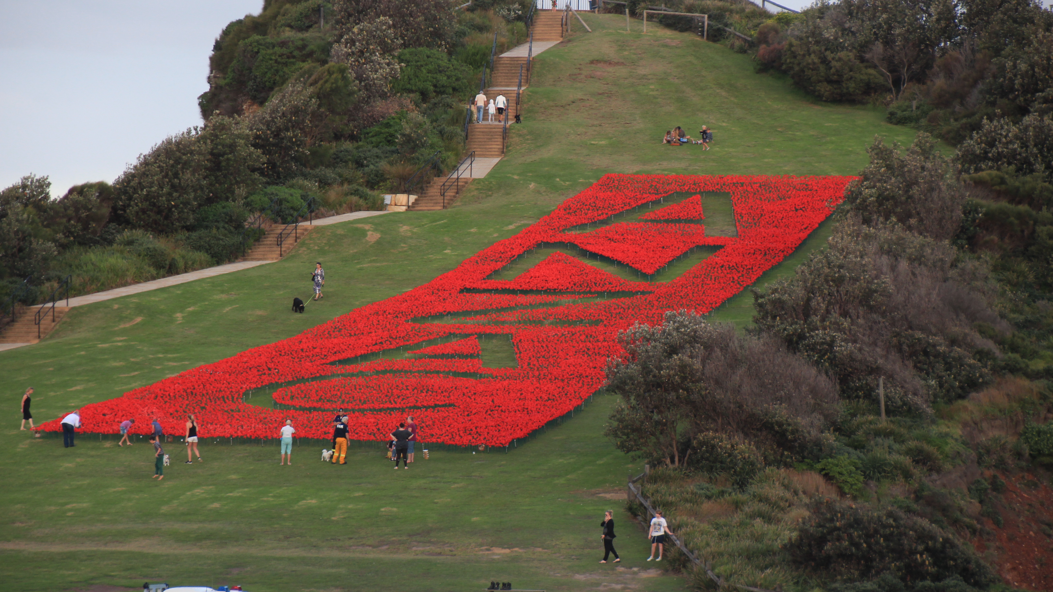 A huge mass of handmade poppies spell out ANZAC on large green lookout.