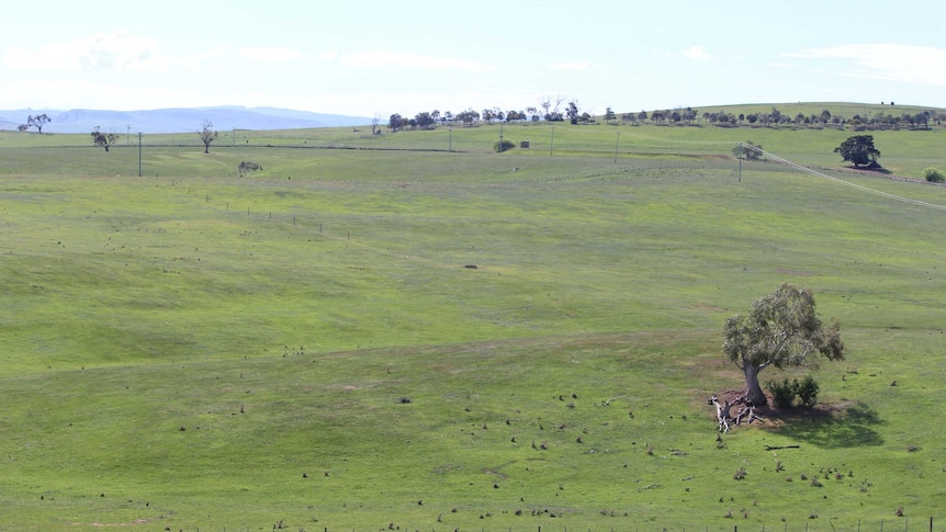 View of farm land.