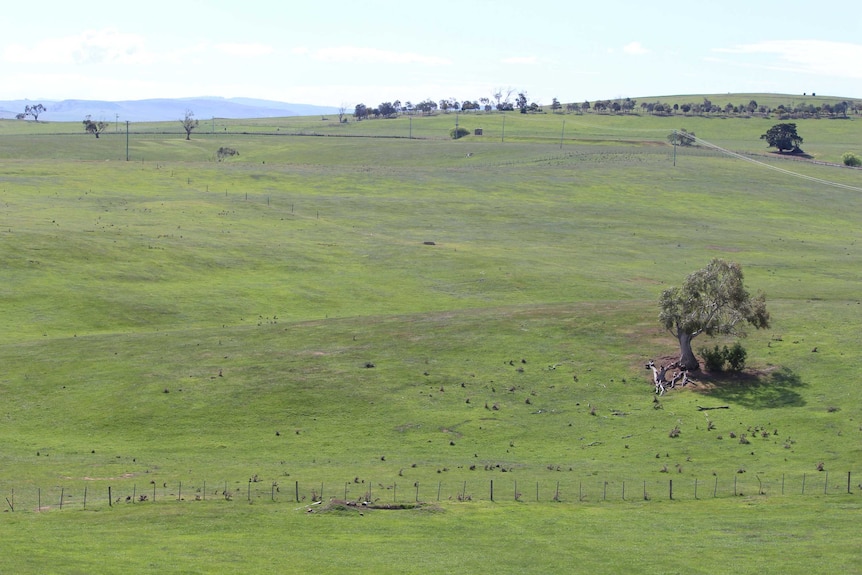 View of farm land.