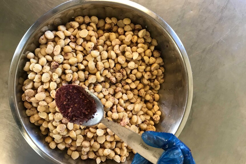 A top down look at a bowl of macadamia nuts sprinkled with a rosella blend