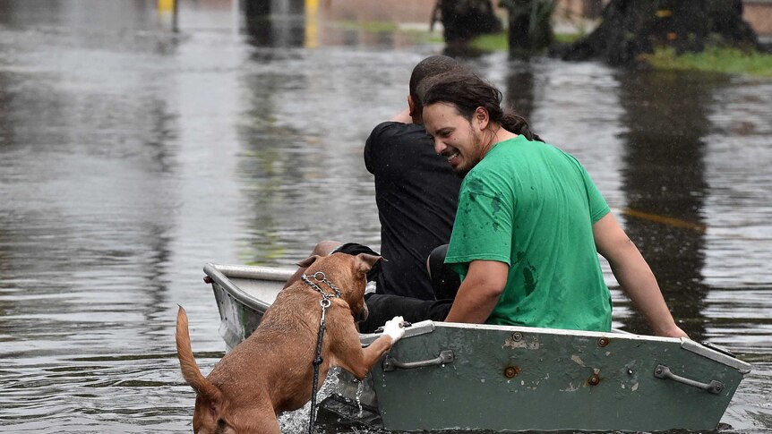 A dog tries to board a boat as two men row down a flooded street in Charleston, South Carolina