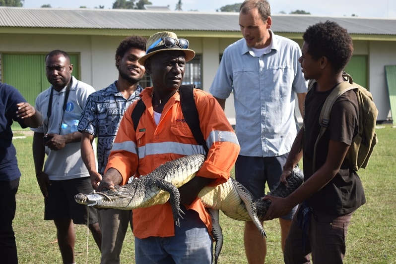 Two men hold a crocodile at a school in Honiara.