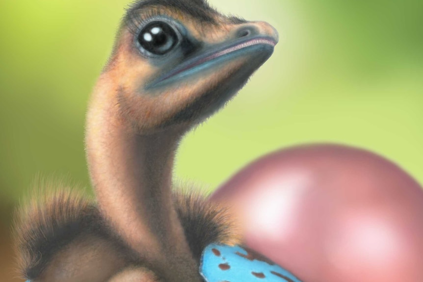 Illustration of a dinosaur hatching from an egg.