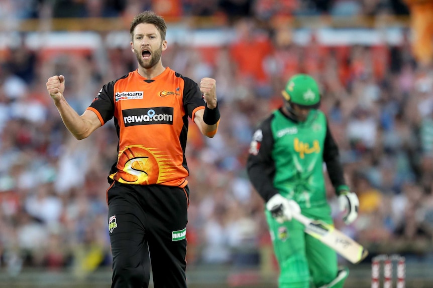 Andrew Tye pumps both fists in celebration of a wicket for the Perth Scorchers.