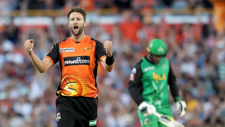 Andrew Tye pumps both fists in celebration of a wicket for the Perth Scorchers.