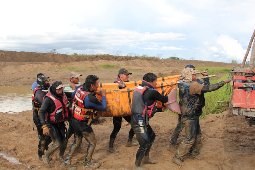 A group of volunteers carry a dolphin on a stretcher from a muddy river to a truck