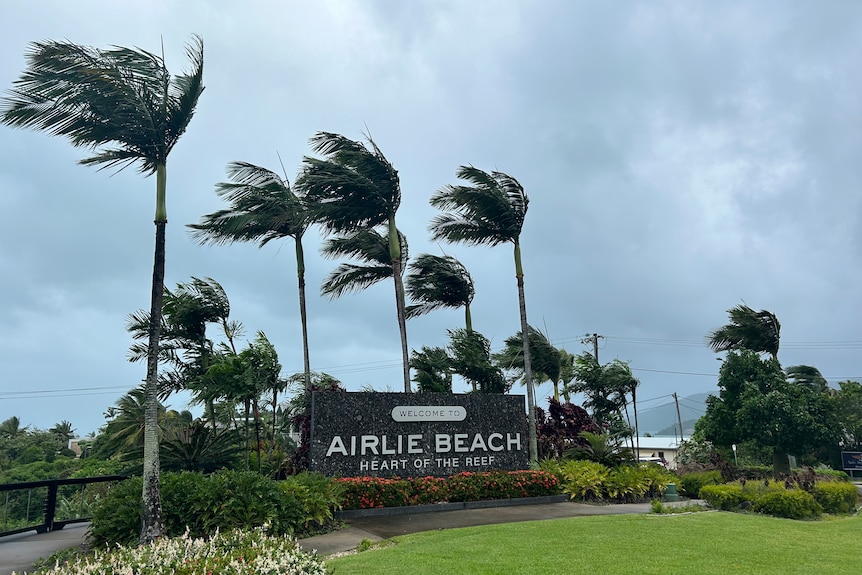 Palm trees bend in the wind next to an Airlie Beach sign