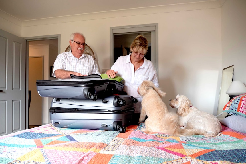 A couple pack their suitcases while the dogs watch on