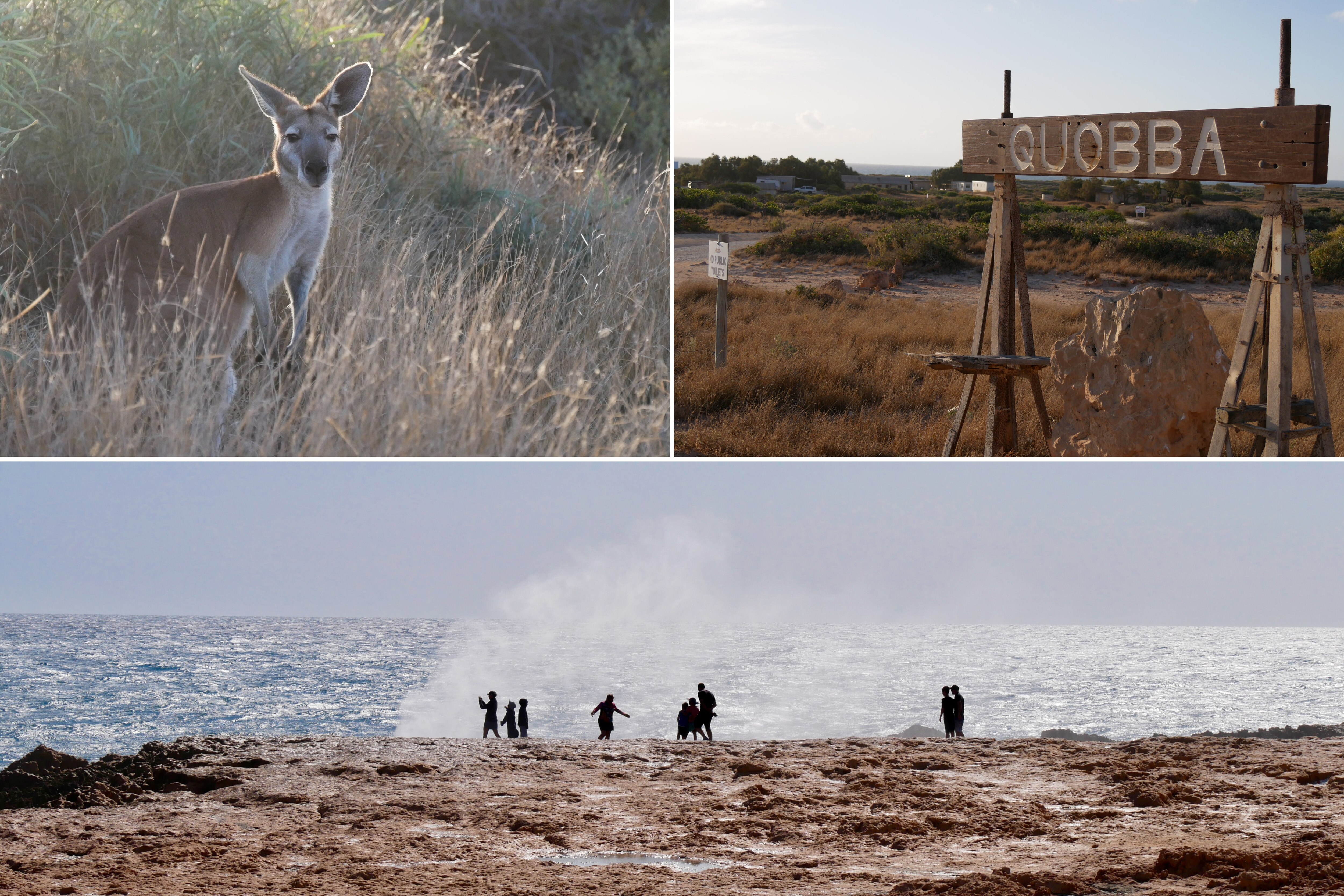 A rugged and stony coastline.