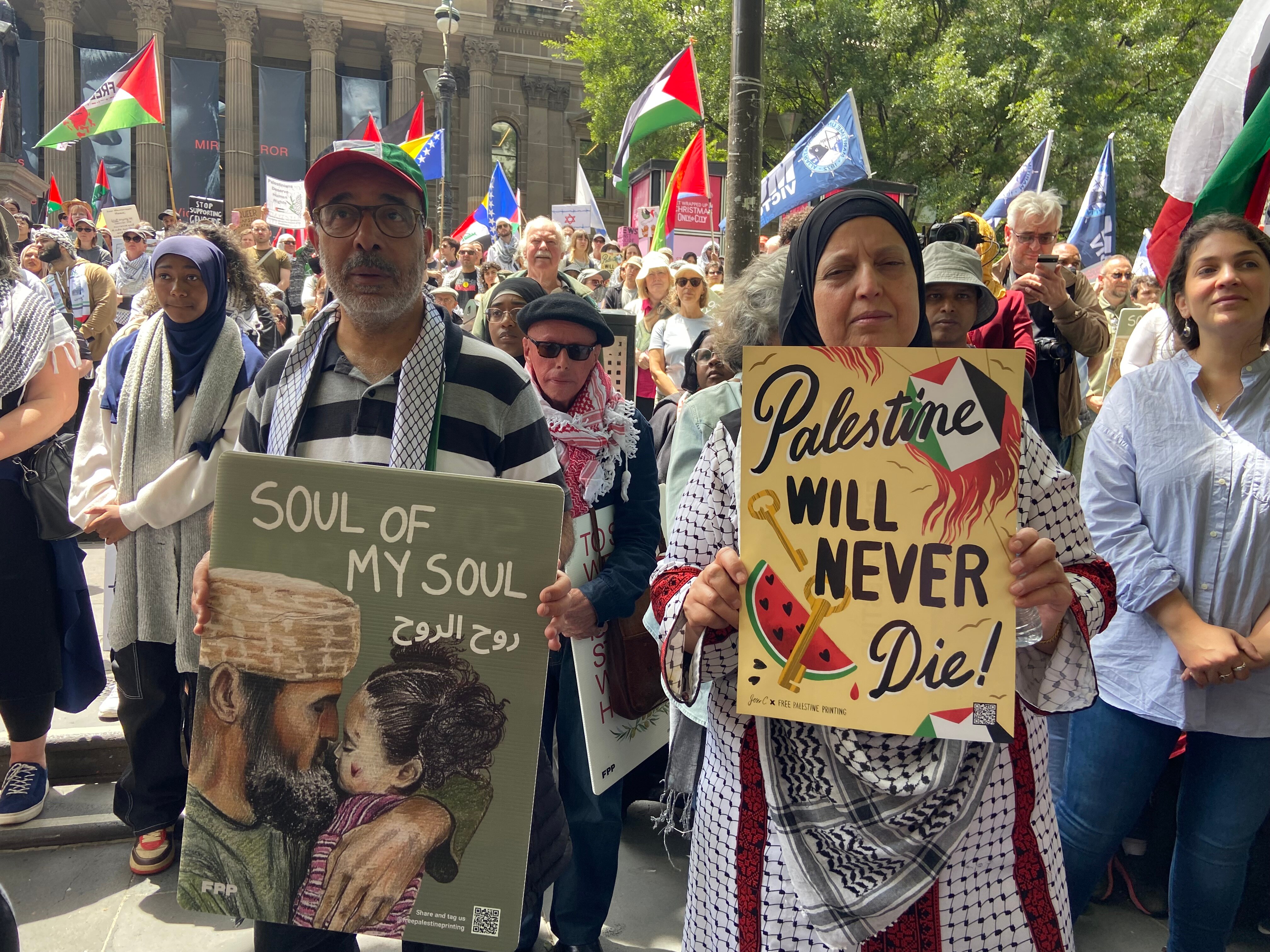 Crowd of people holding signs and flags at the State Library.