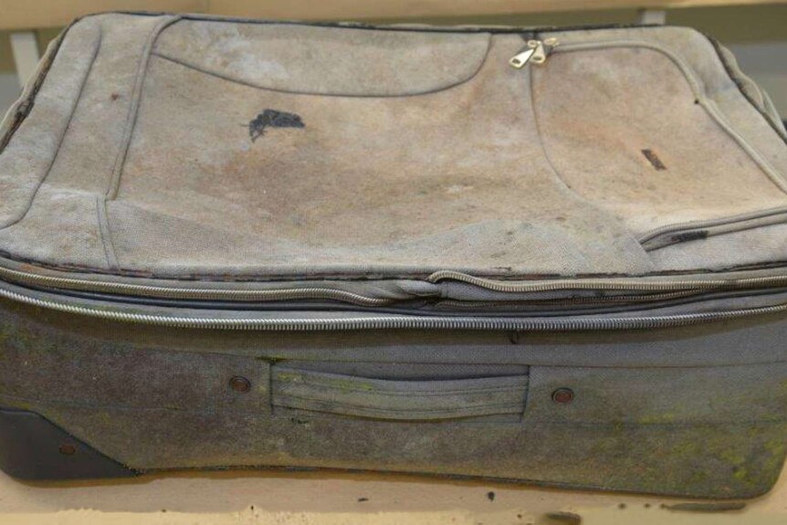 The suitcase in which a child's skeletal remains were dumped