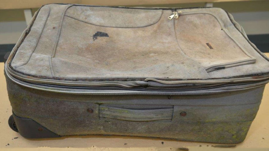 The suitcase in which a child's skeletal remains were dumped