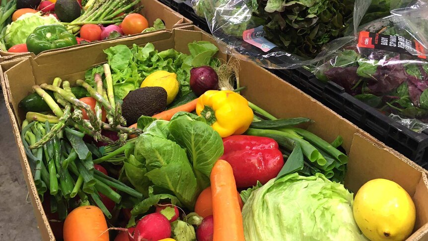 Assorted vegetables lie in boxes ready to be sent to help local charities.