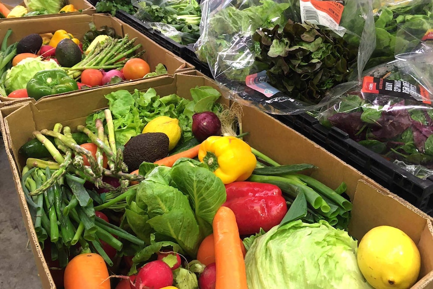 Assorted vegetables lie in boxes ready to be sent to help local charities.