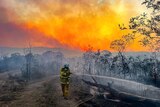 A firefighter at work on a fireground in the country.