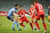 Sydney's Joshua Brilliante applies pressure to Adelaide's Marcelo Carrusca