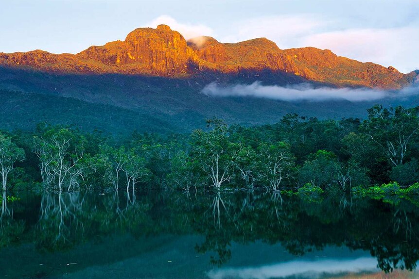 Water, trees and hills in photo of landscape of Hinchinbrook Island off north Queensland.