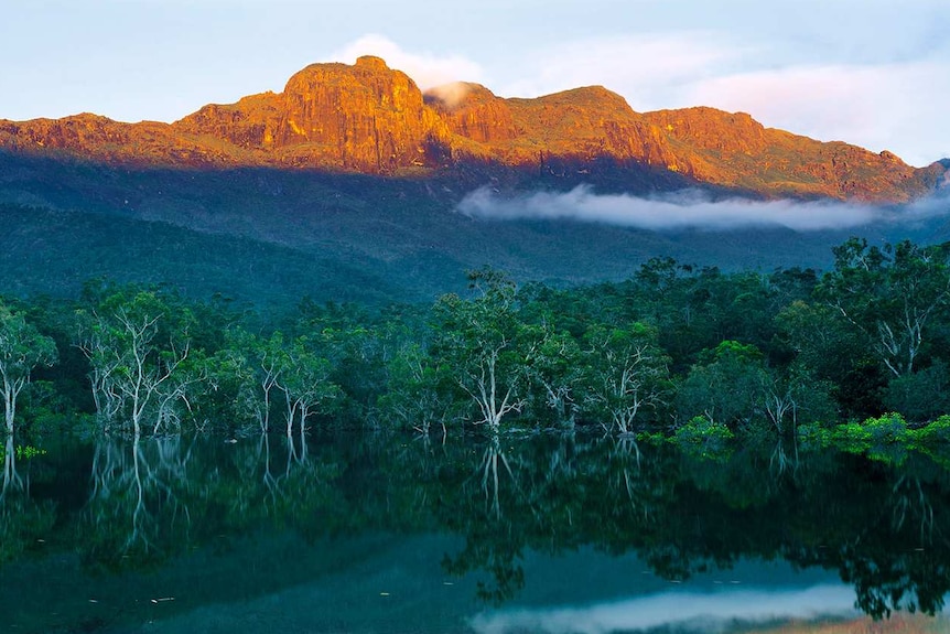 Water, trees and hills in photo of landscape of Hinchinbrook Island off north Queensland.